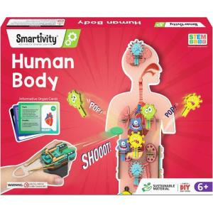image:imageSmartivity DIY 2in1 Hydraulic Paper Airplanes amp Darts Launcher STEM Toy for Kids Ages 614 Years I Birthday Gifts for Smart Kids  Science Kit for Boys amp Girls 6 8101214 Years OldSTEM for the human body