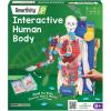 image:imageSmartivity Interactive Human Body Model for Kids 814 Years I Dynamic Body Parts amp Organs  Learning Booklet  Birthday Gift for Boys amp Girls  Educational Toy for 891011121314 Years